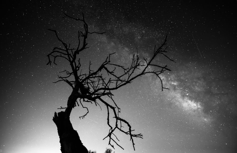 Reaching for the stars