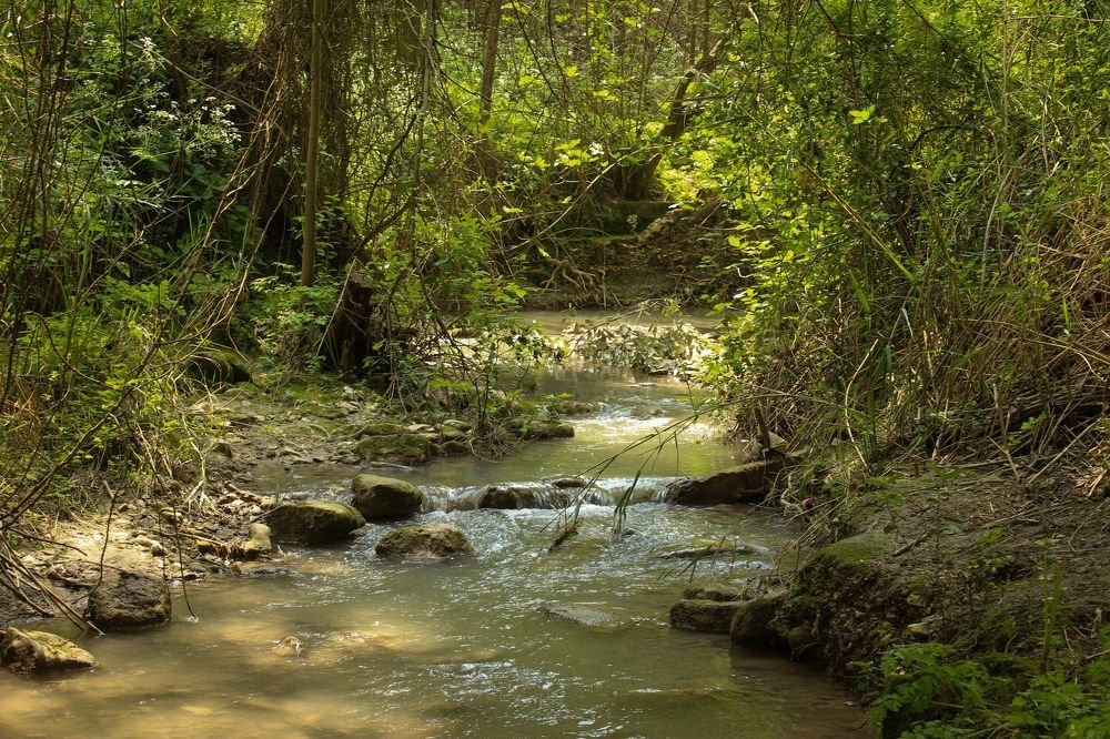 Photograph by Anna Strelzov