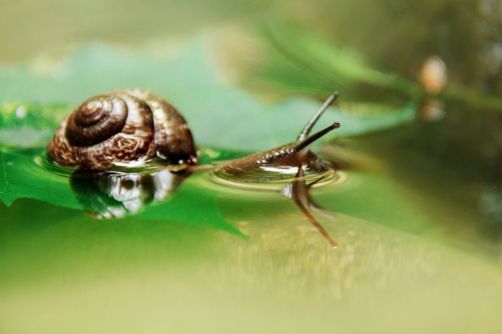 Photograph by Татьяна Степанова