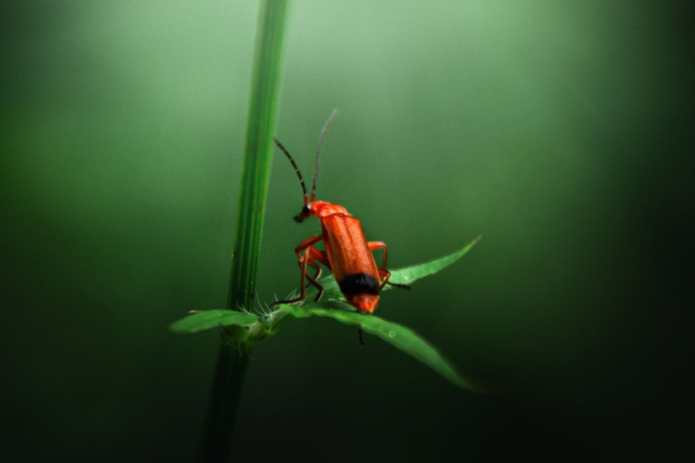 Photograph by Татьяна Степанова