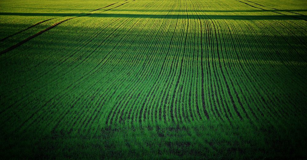 Photograph by Adrian Eperjessy