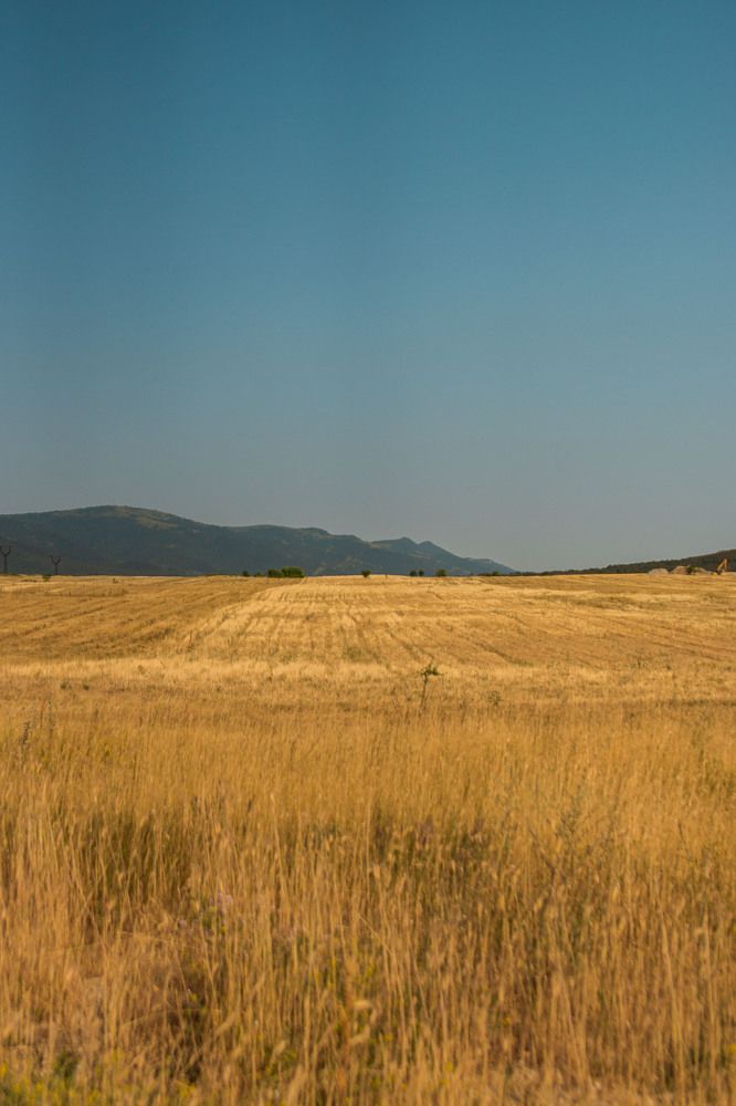 Фотография автора Владимир Бондарев
