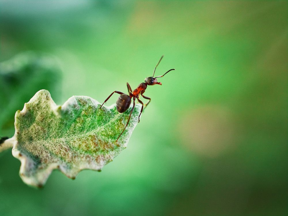 Photograph by Геннадий Сухинин