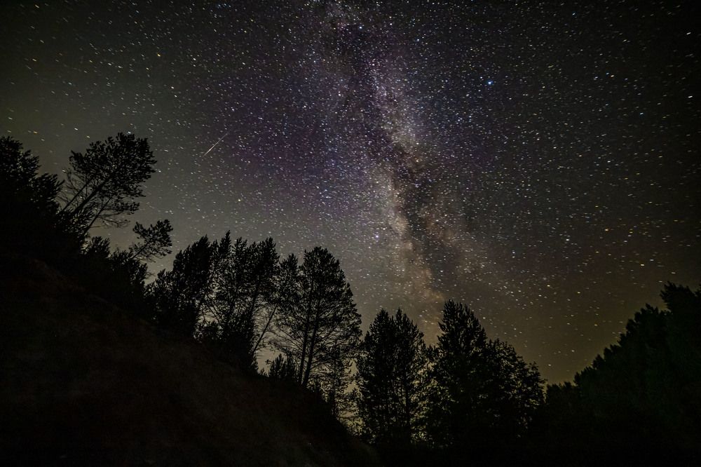 Photograph by Елена Перминова