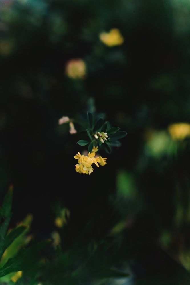 Photograph by Кургузова Дарья