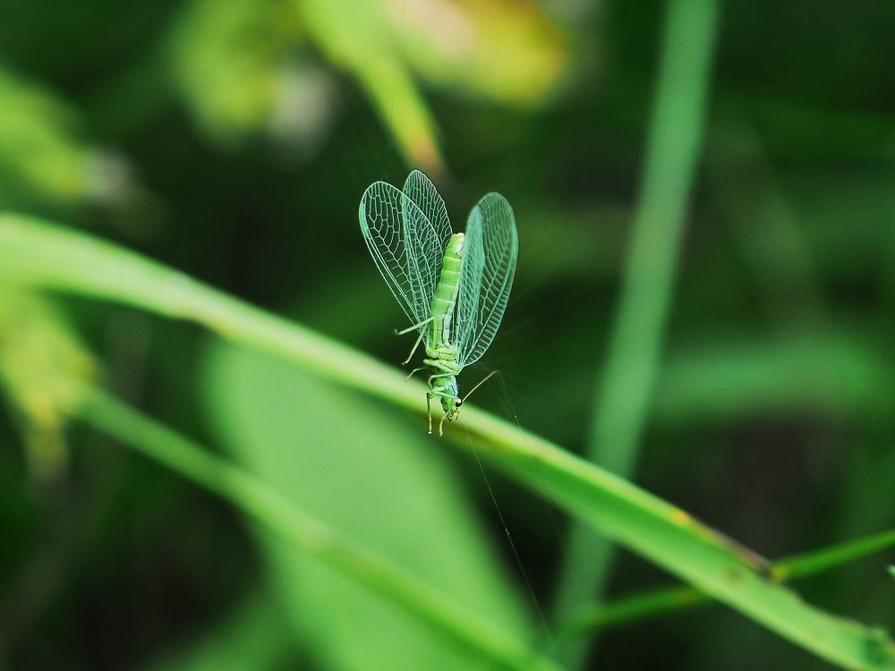 Photograph by Геннадий Сухинин