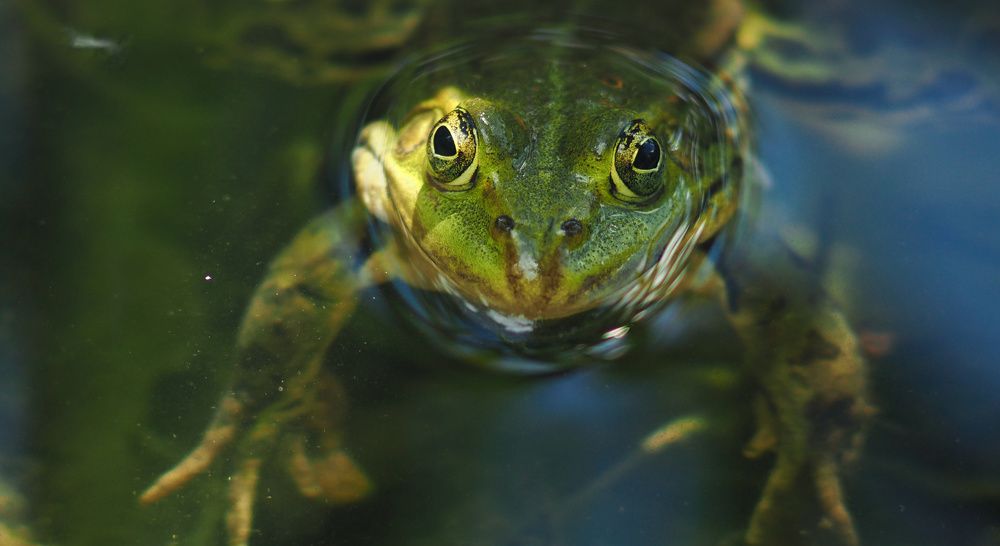 Photograph by Ирина Протченко