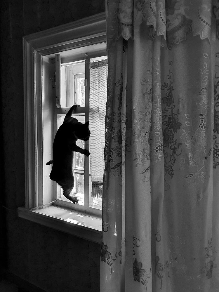 Фотография автора Надежда Лисицына