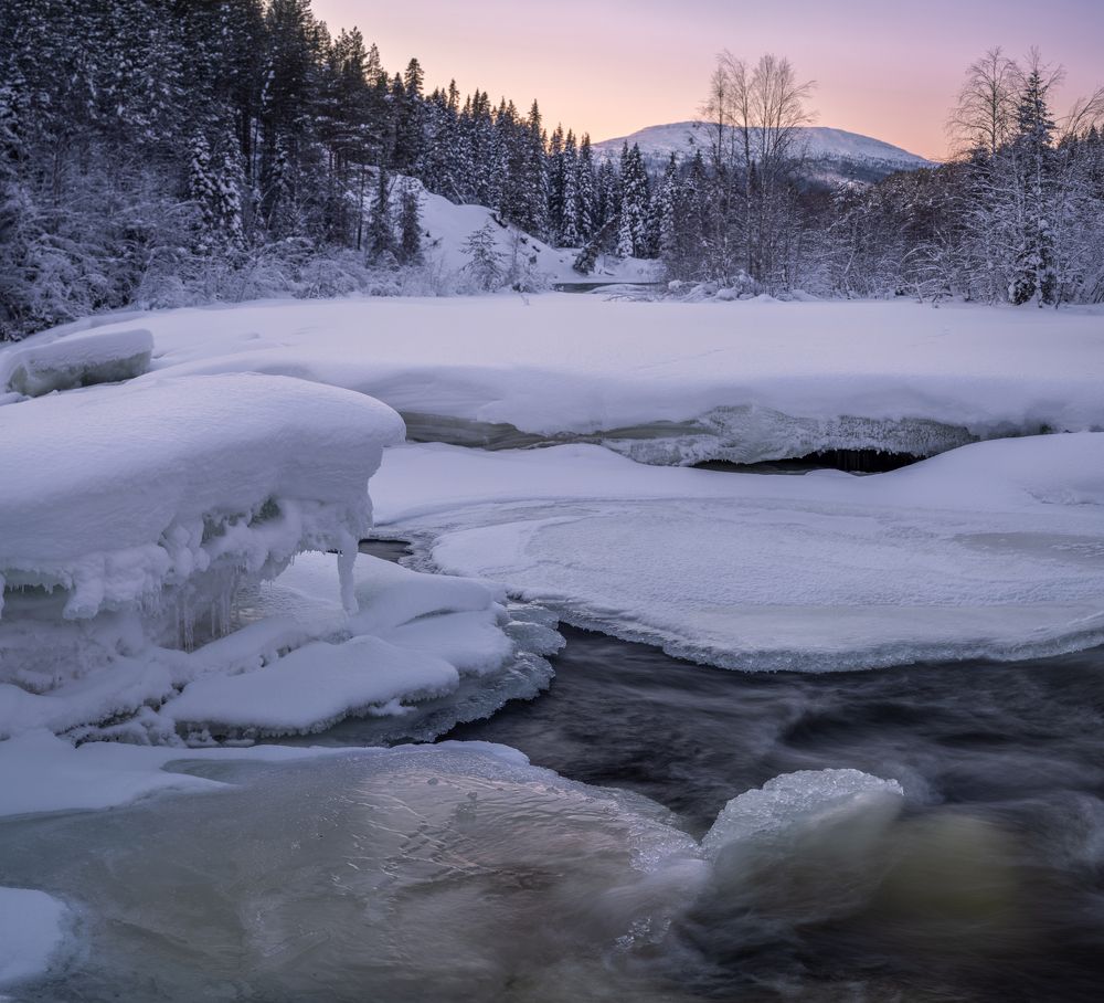 Photograph by Diana Karp