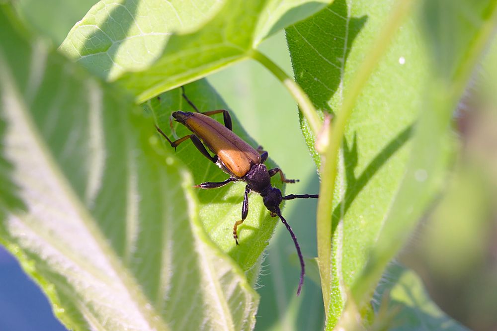 Photograph by Евгений Беленков