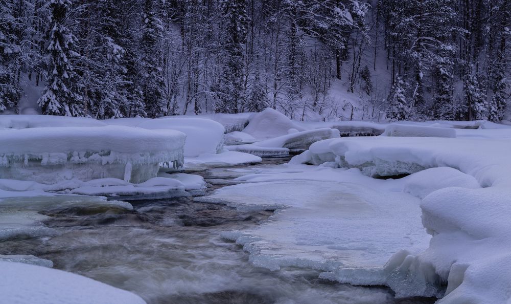 Photograph by Diana Karp