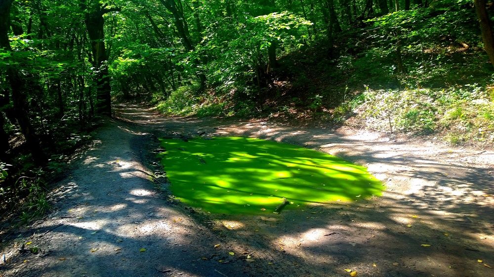 Photograph by Вадим Юрьевич