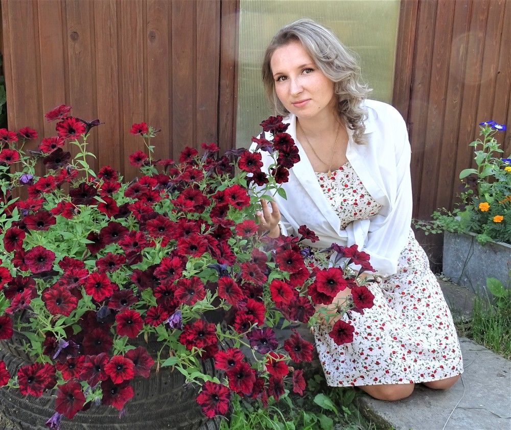 Photograph by Николай Худяков