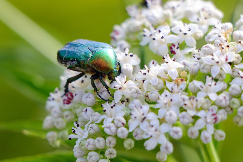 Photograph by Сергей Малыхин