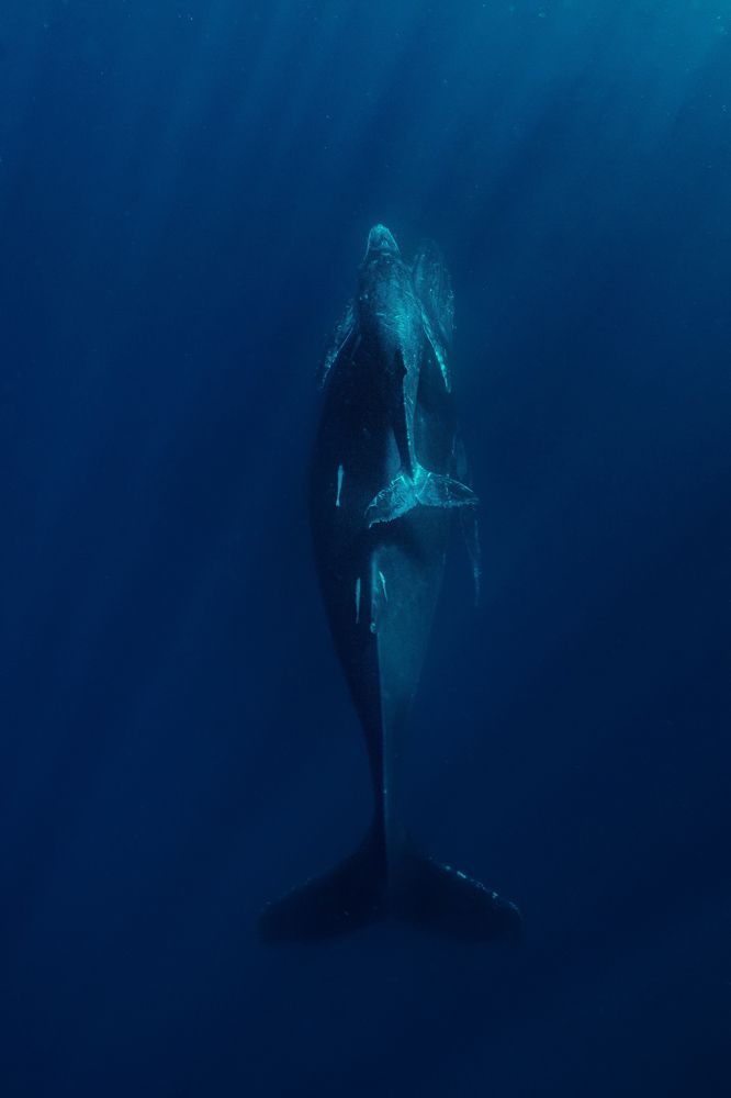 Photograph by Serge Melesan