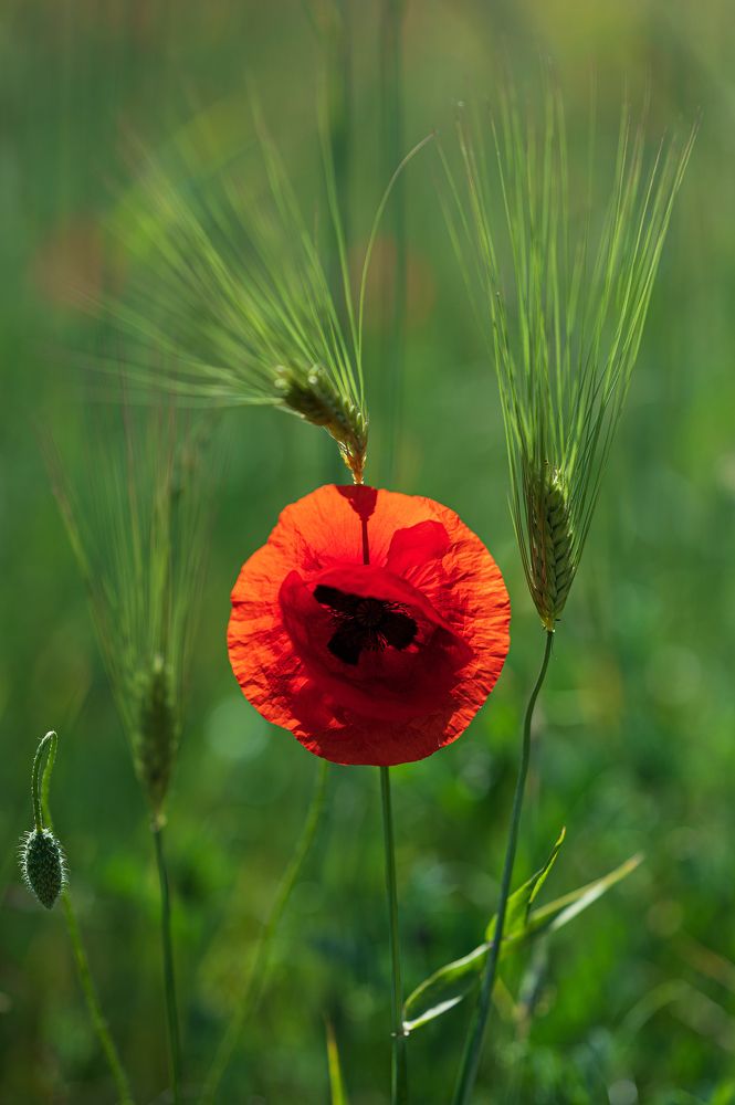 Photograph by Екатерина Рябкова