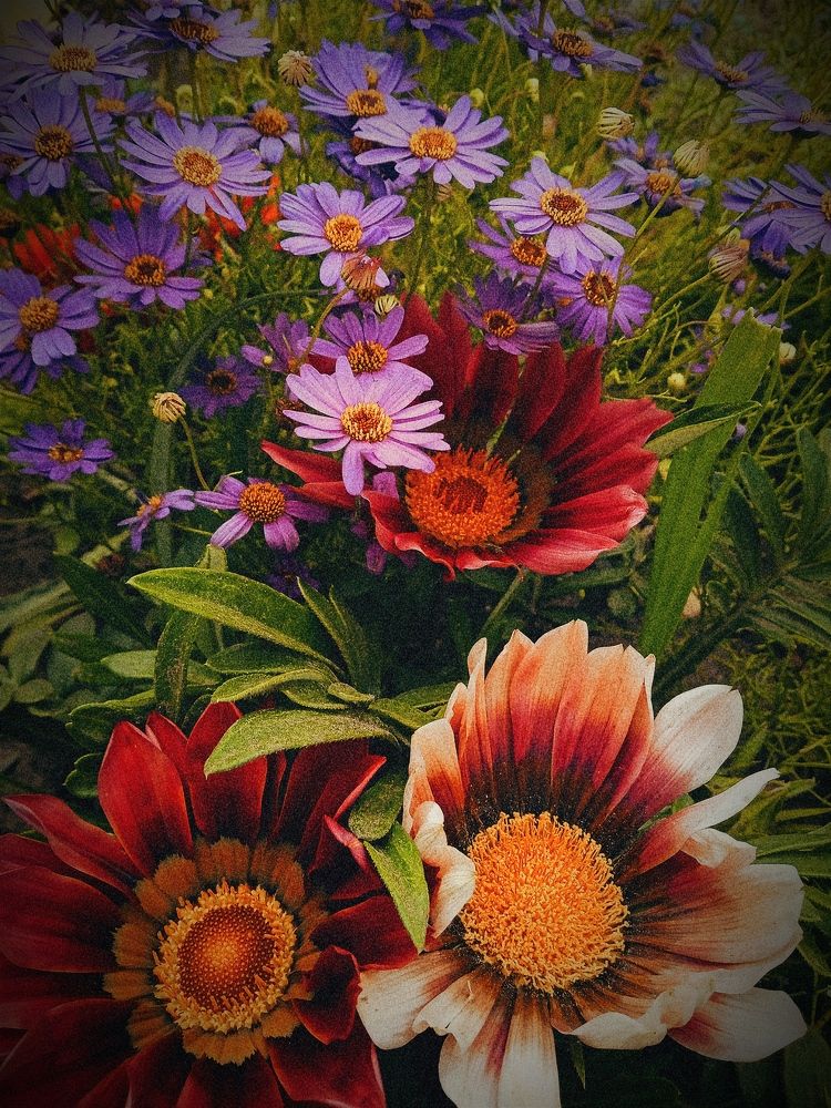 Photograph by Нина Мехнина