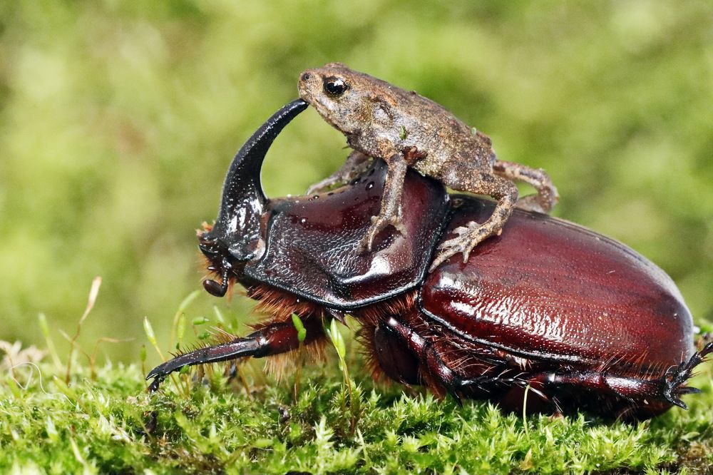 Photograph by Сергей Маслов