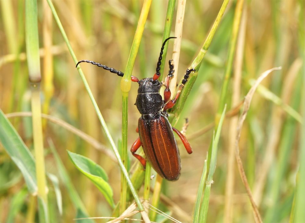 Photograph by Ави Христова