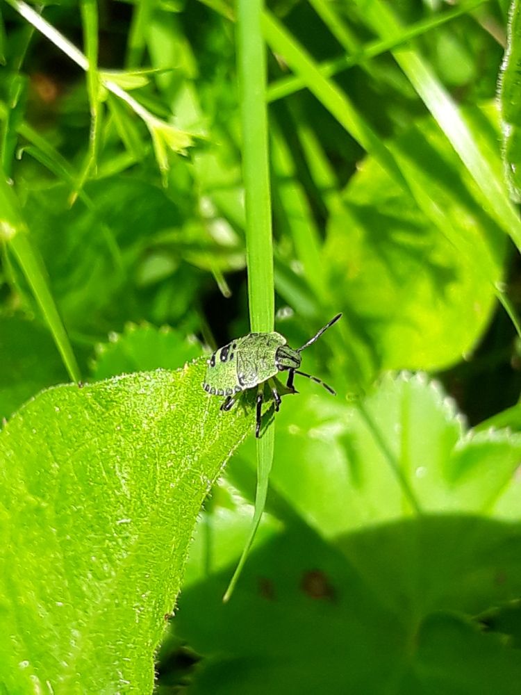 Photograph by Елена Тимченко