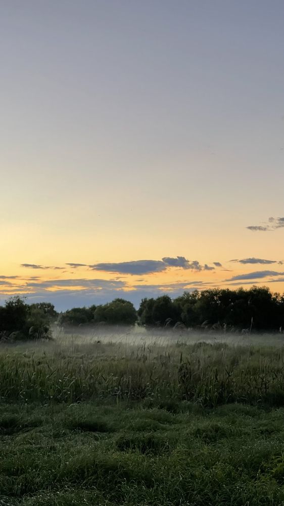 Photograph by Анна Финк