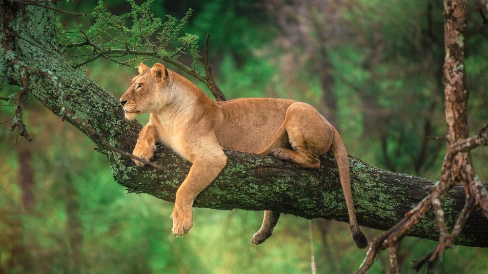 Photograph by Artem Khazov