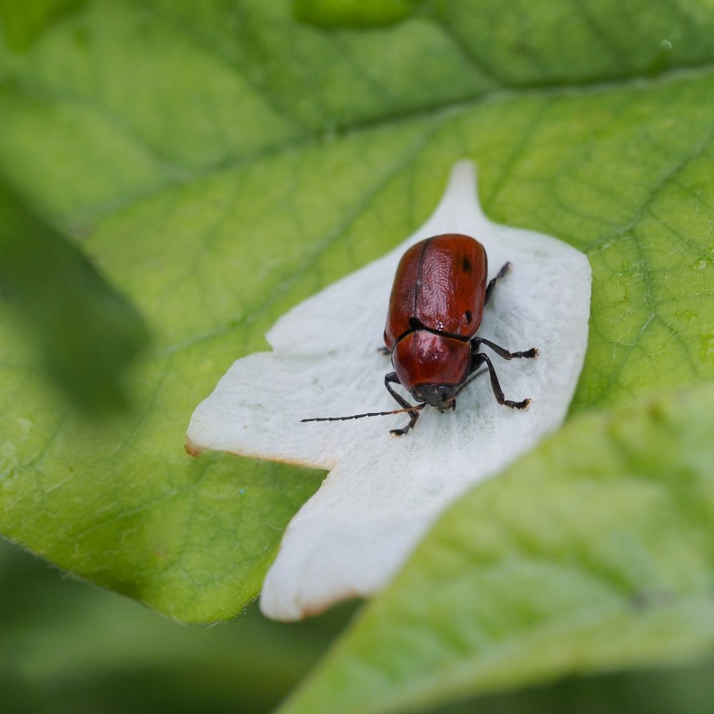 Photograph by Yana Marinova