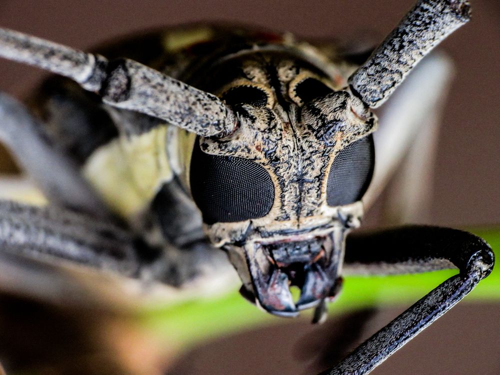 Photograph by Zinda Shaik Mohideen M