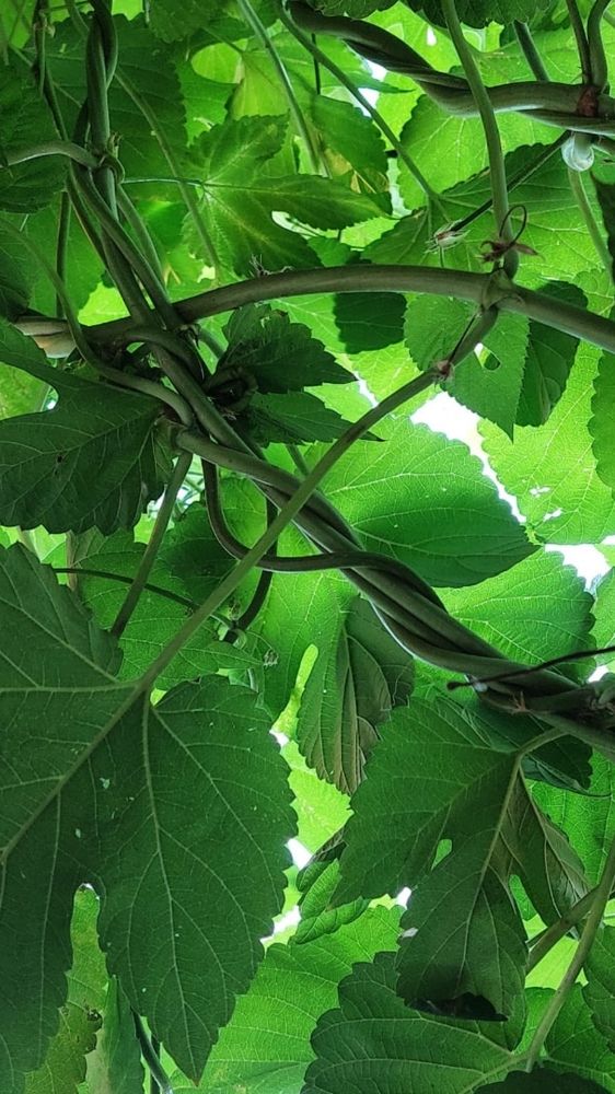 Photograph by Нина Паршина