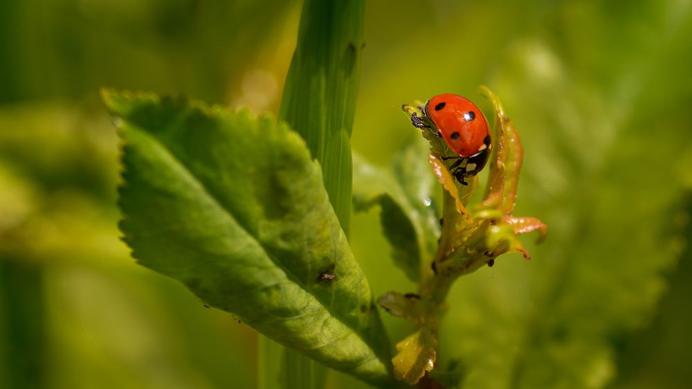 Photograph by Дмитрий