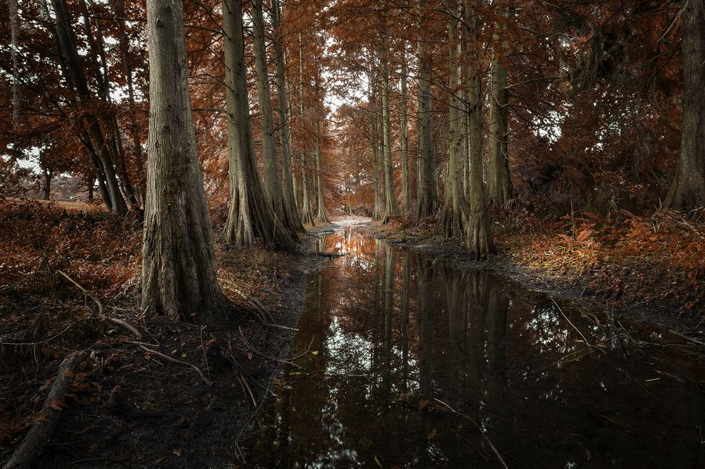 Photograph by Raymond Asiala