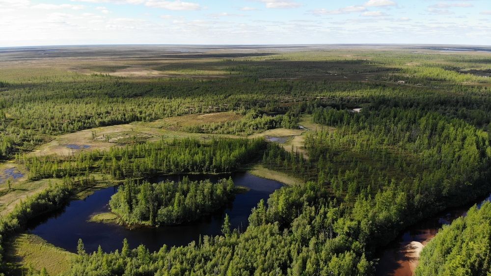 безмятежность