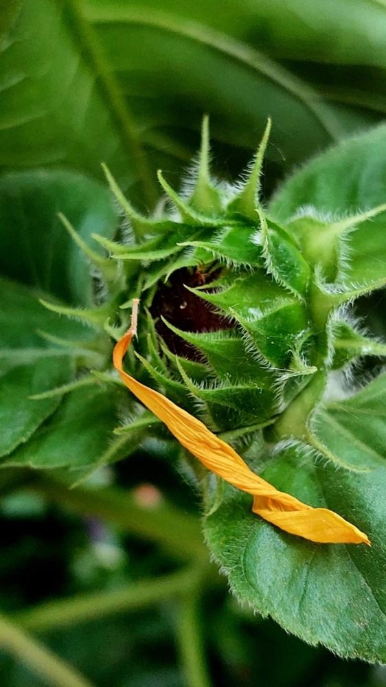 Photograph by Нина Паршина