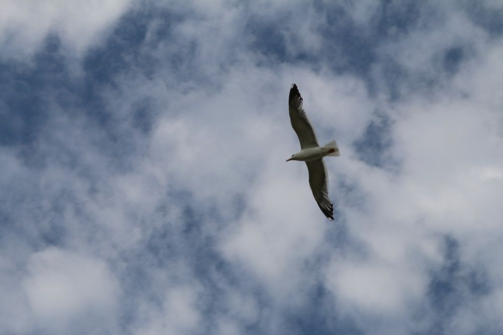 Photograph by Софья