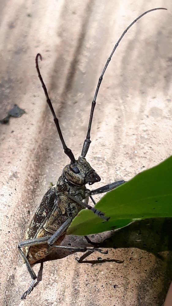 Photograph by Елена Тимченко