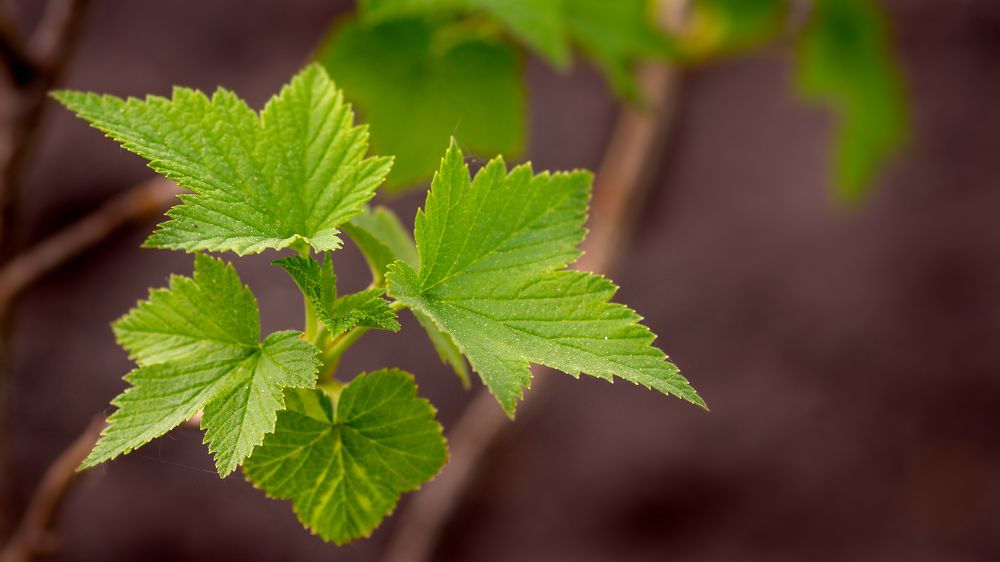 Photograph by Дмитрий