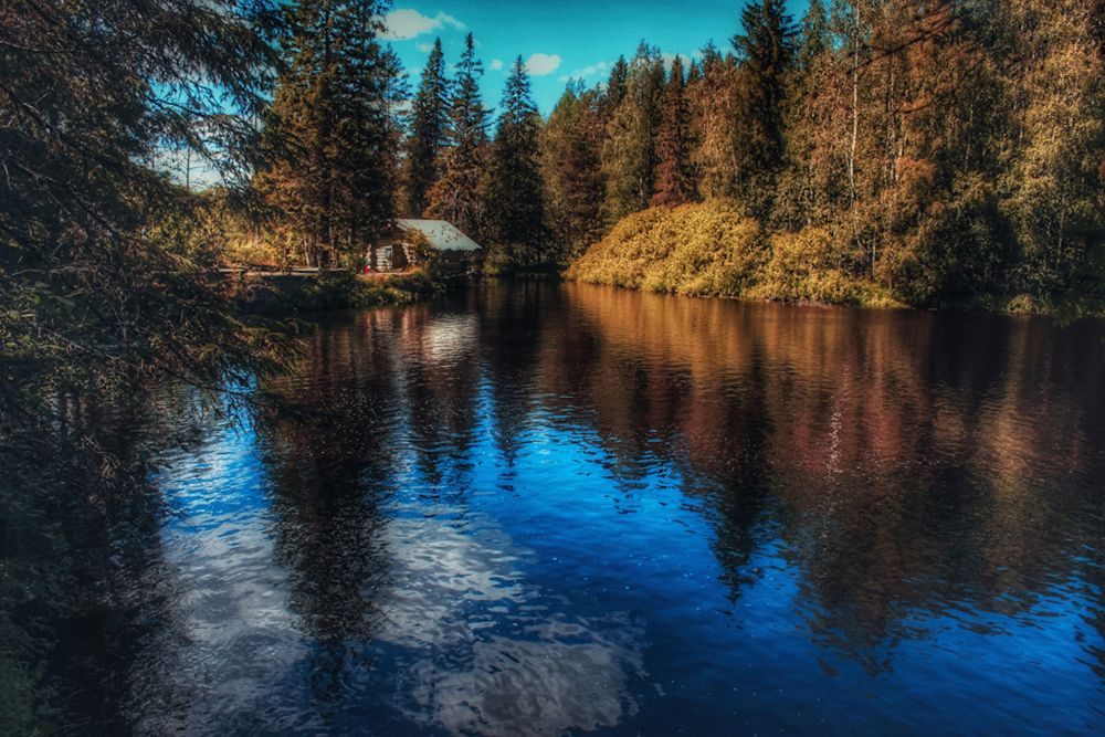 Photograph by Юлия Чиклеева