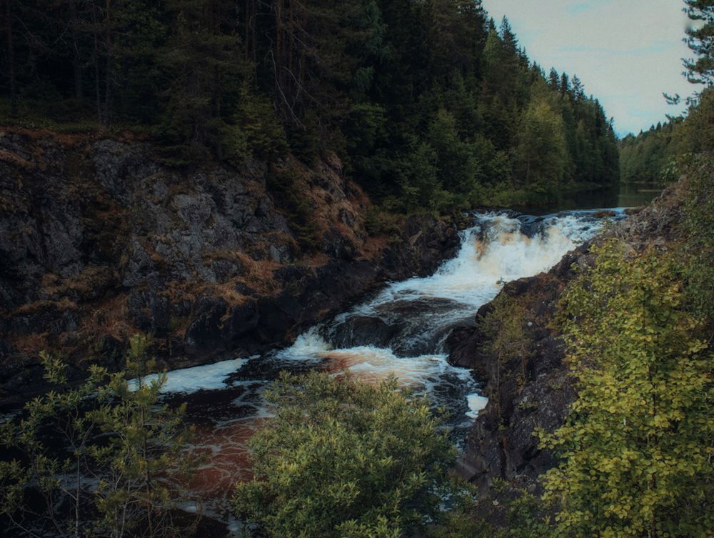 Photograph by Юлия Чиклеева