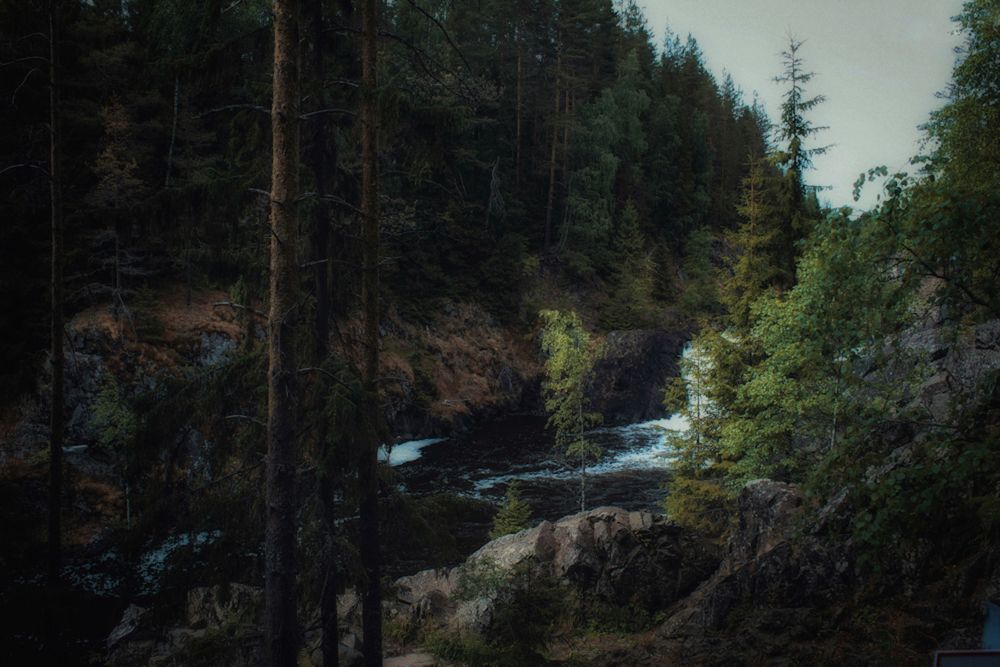 Photograph by Юлия Чиклеева