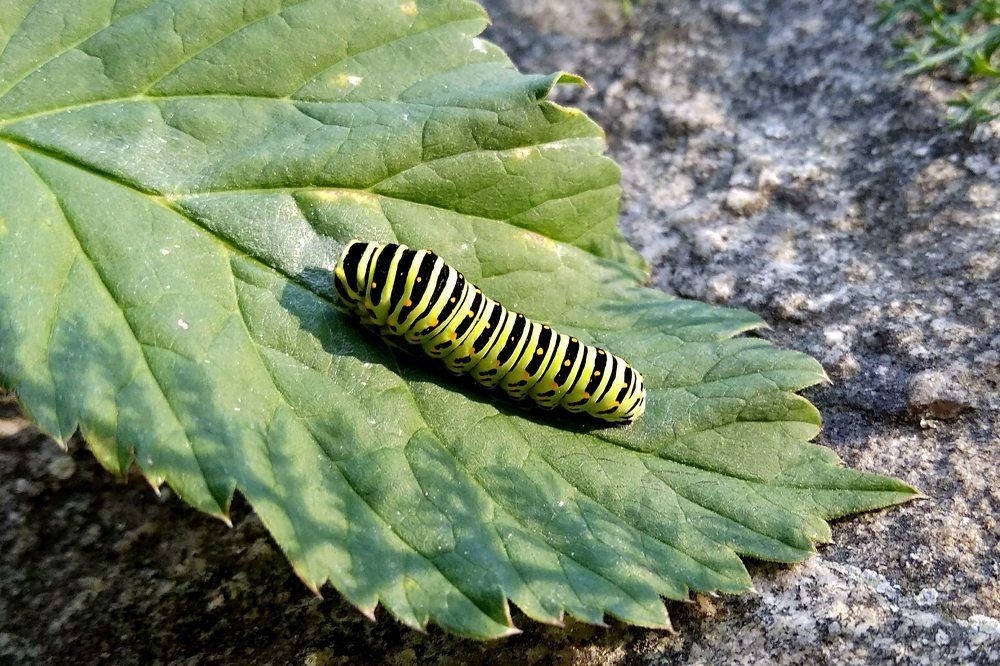 Photograph by  Валентина