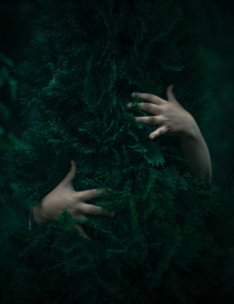 Фотография автора Анастасия Арзуманова