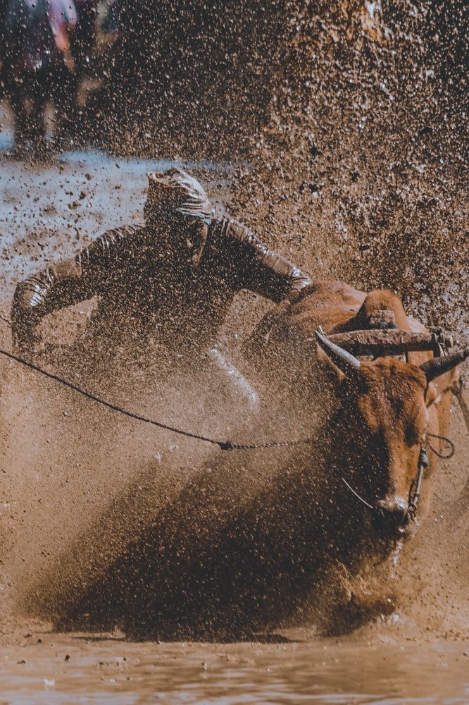 Photograph by Fananda Arianaga