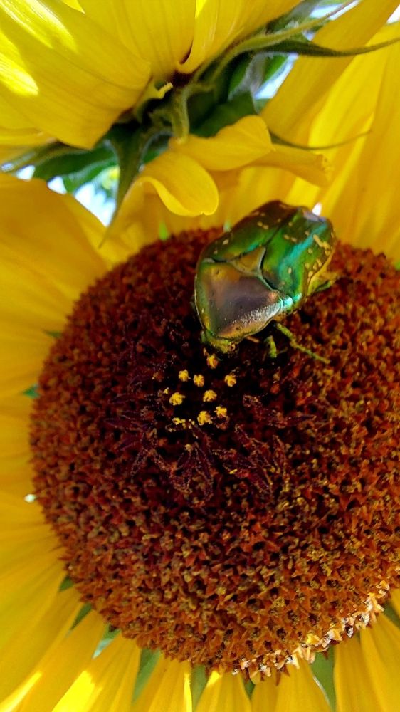 Photograph by Нина Паршина