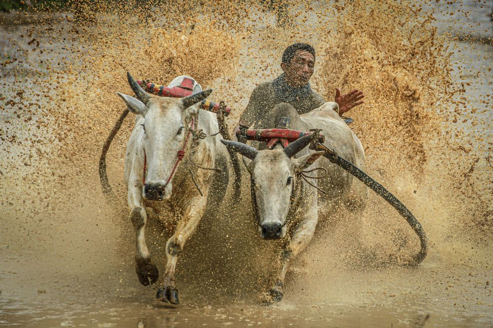 Photograph by Fananda Arianaga