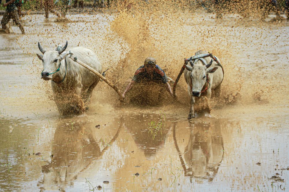 Photograph by Fananda Arianaga