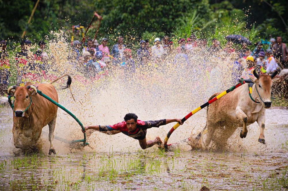 Photograph by Fananda Arianaga