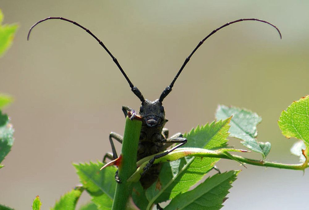 Photograph by Людмила Павловна