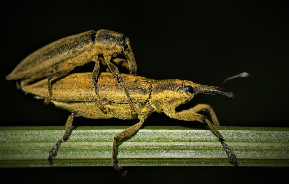 Photograph by Овечкин Павел