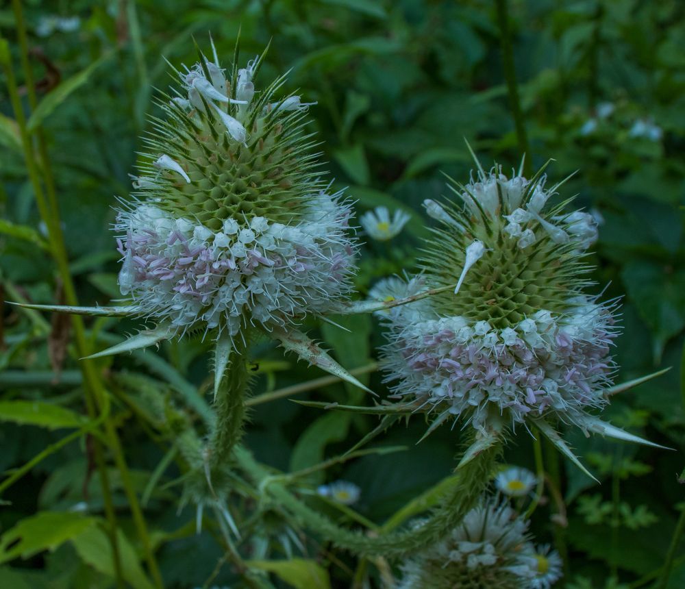 Photograph by Олег Башкуров