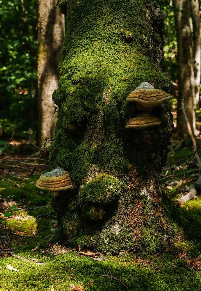 Photograph by Олег Башкуров